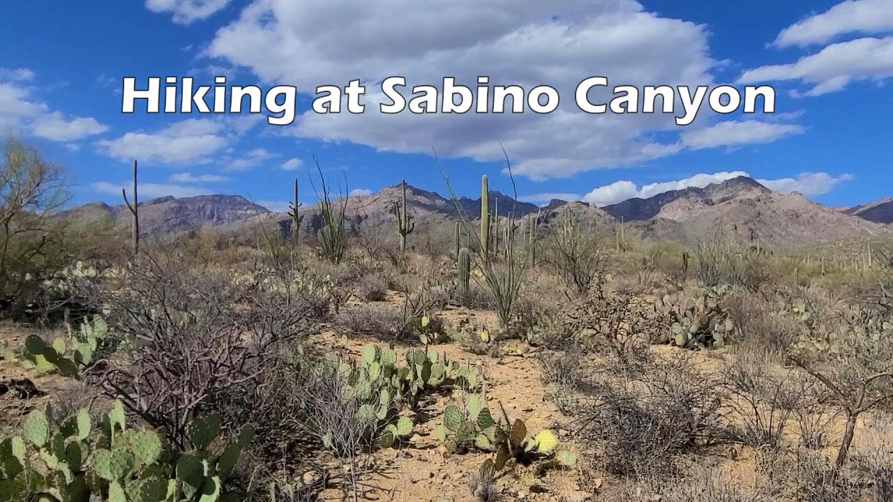 HIKING SABINO CANYON TUCSON ARIZONA | SABINO CANYON RECREATION AREA | CORONADO NATIONAL FOREST