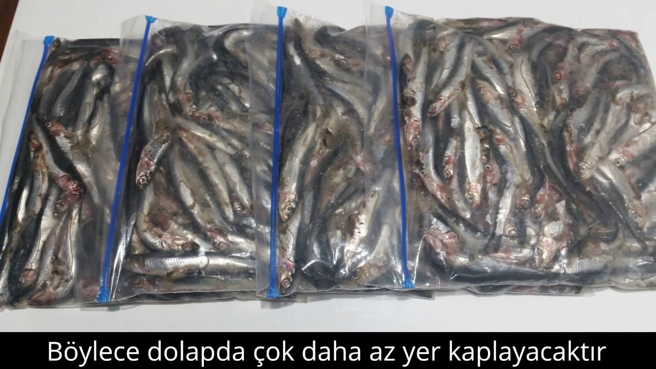 HAMSİ NASIL SAKLANIR?
