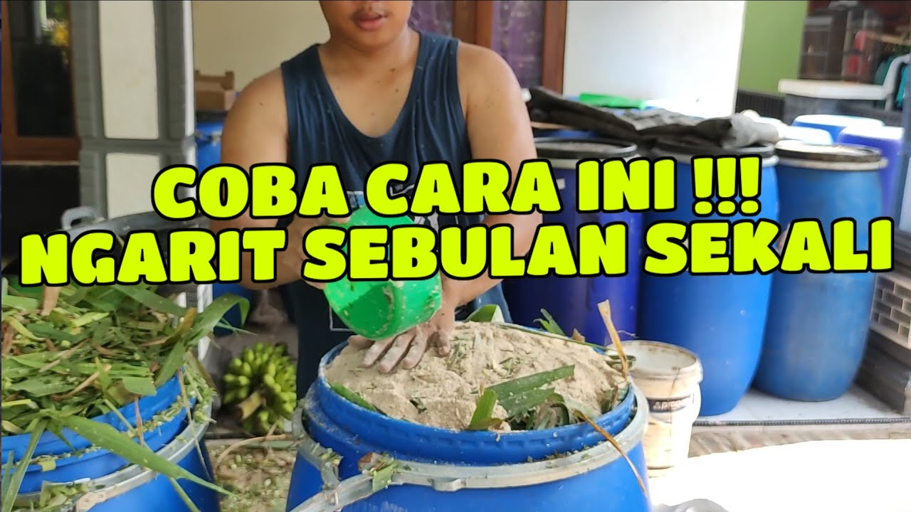 100% PASTI JADI !!! CARA MUDAH MEMBUAT SILASE - NGARIT CUKUP SEBULAN SEKALI