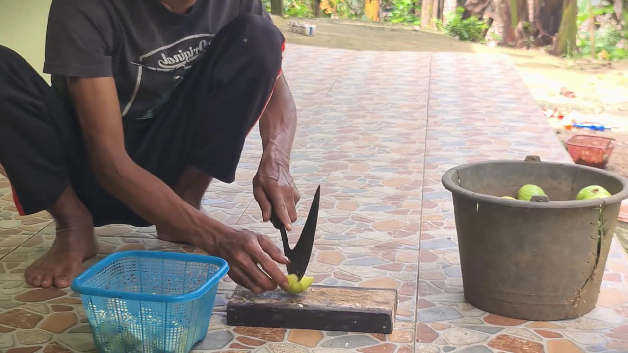 Rural Guava Harvest by Skilled Farmer #RuralAgriculture #TraditionalFarming