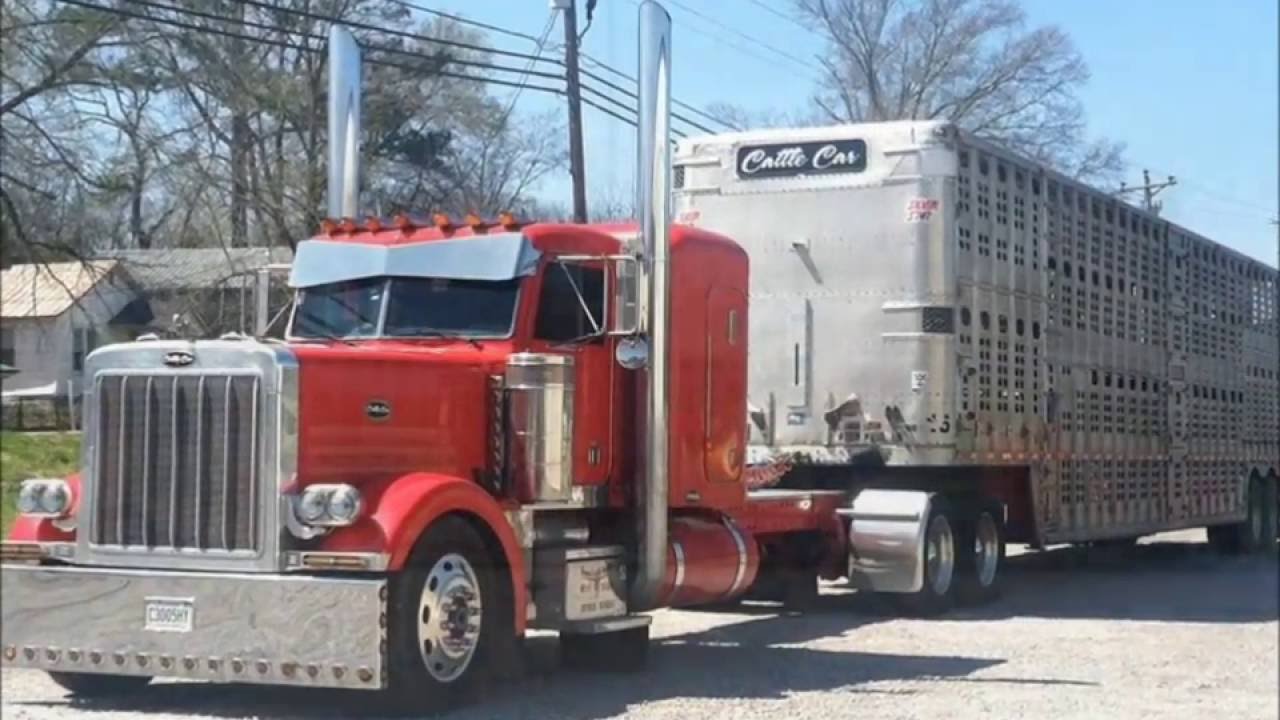cattlecar