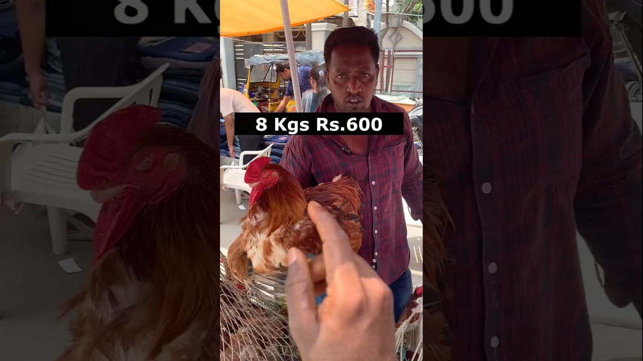 Erragadda Sunday Market #erragaddamarket #sanathnagar #viral #meat #hens #streetfood #erragadda #dog