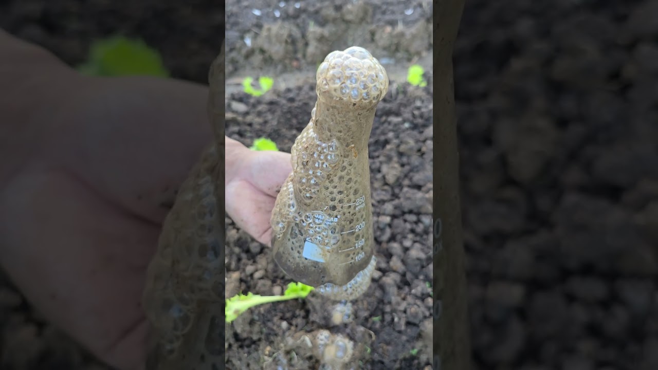 How to know if a soil has organic matter #garden #gardening #experiment