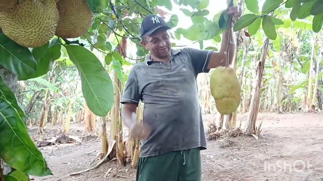 FUI FICAR COM MAE E E FIZ A JANTA 