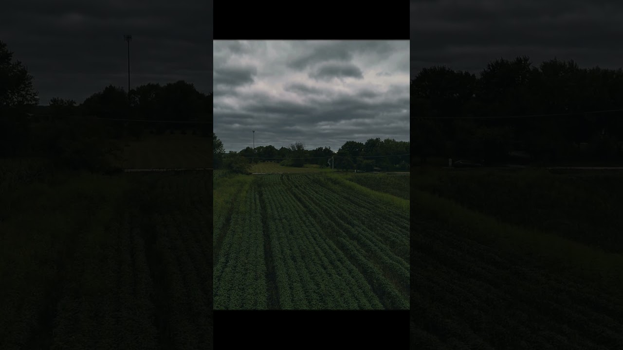 CineShort - Field of clouds