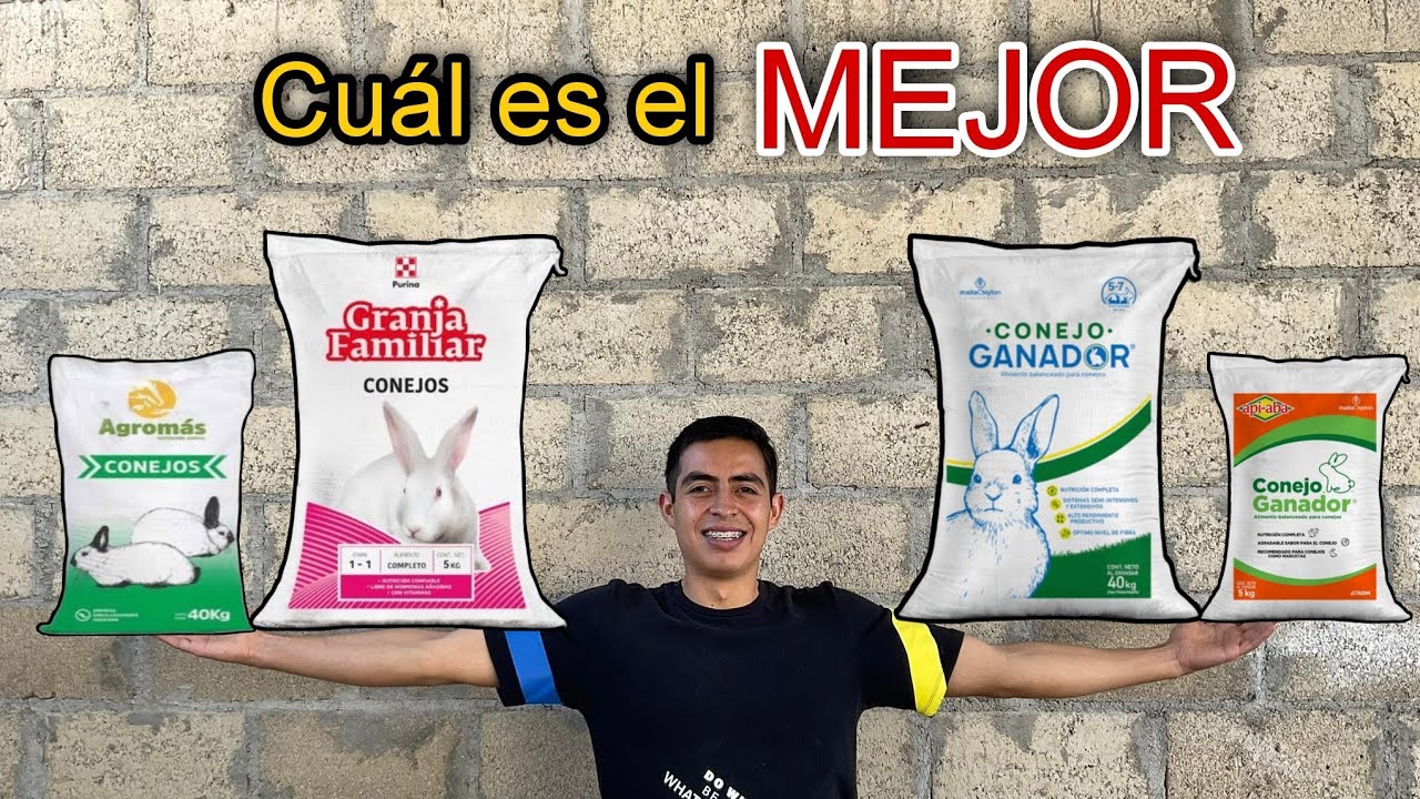 ¿Cuál es el MEJOR ALIMENTO para nuestros Conejos? Fundamento científico 🐰🤠