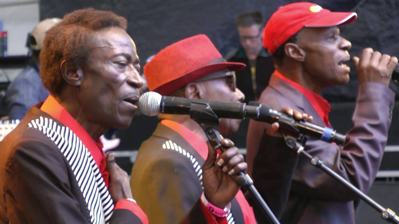 Orchestre Les Mangelepa - Mimba - LIVE at Afrikafestival Hertme 2016