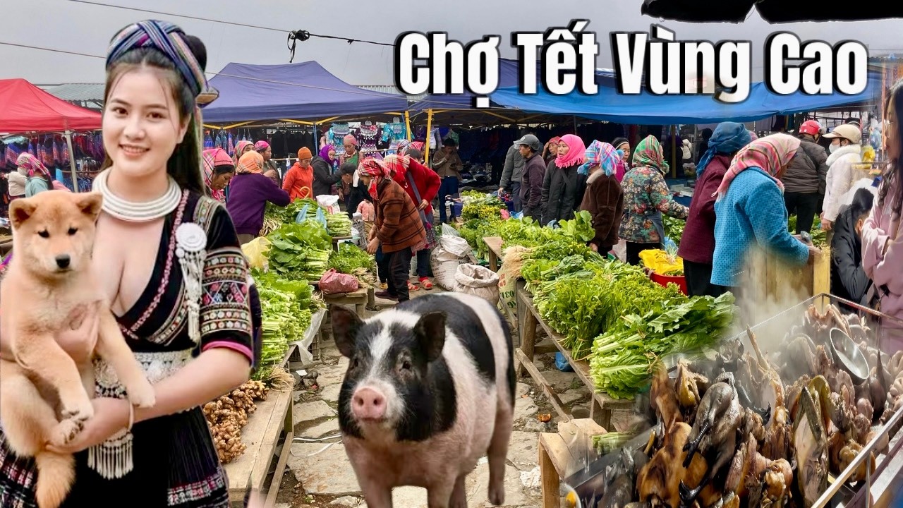 Chợ Tết Lùng Phình - Khám Phá Chợ Phiên Ẩm Thực Độc Đáo Lợn Tết 120/kg