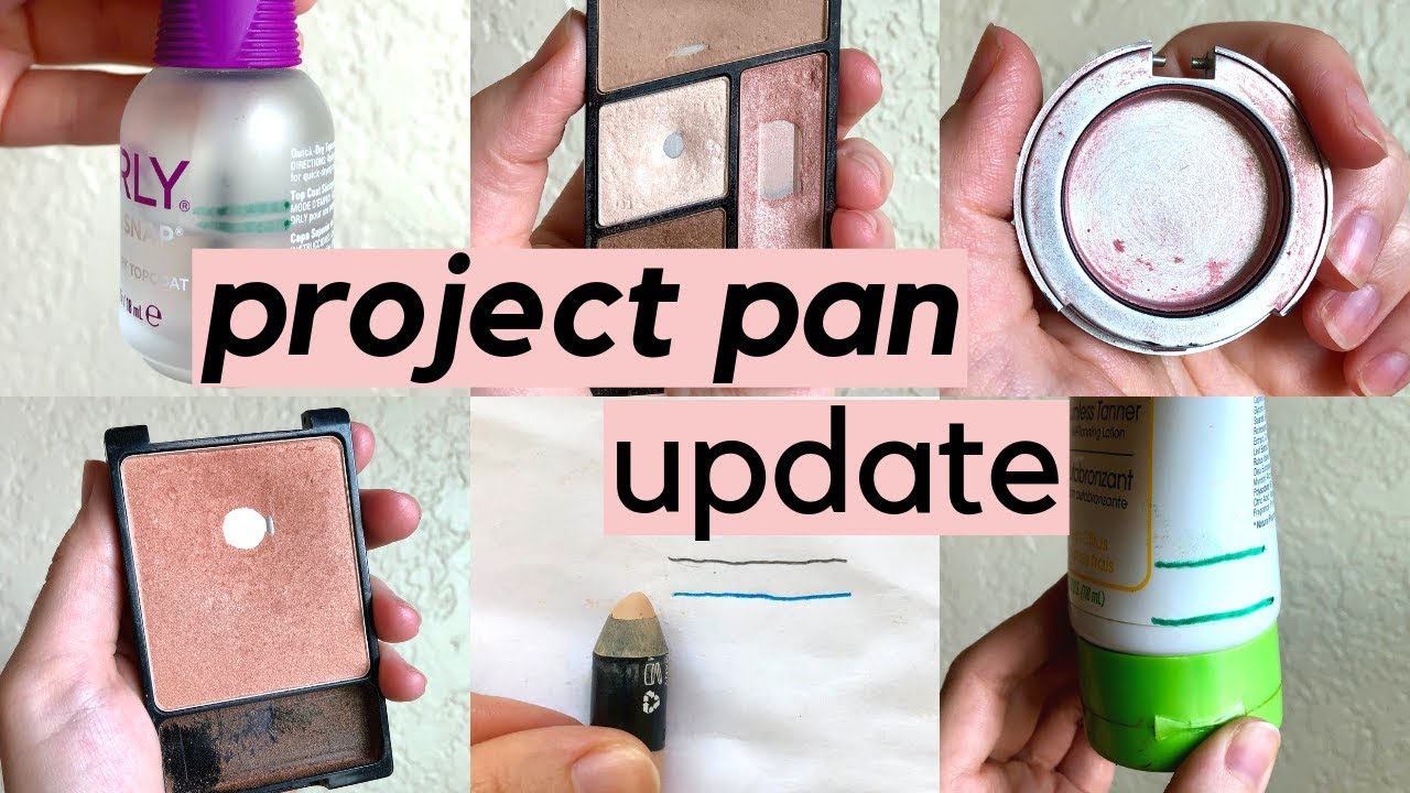 PROJECT PAN UPDATE | august check in