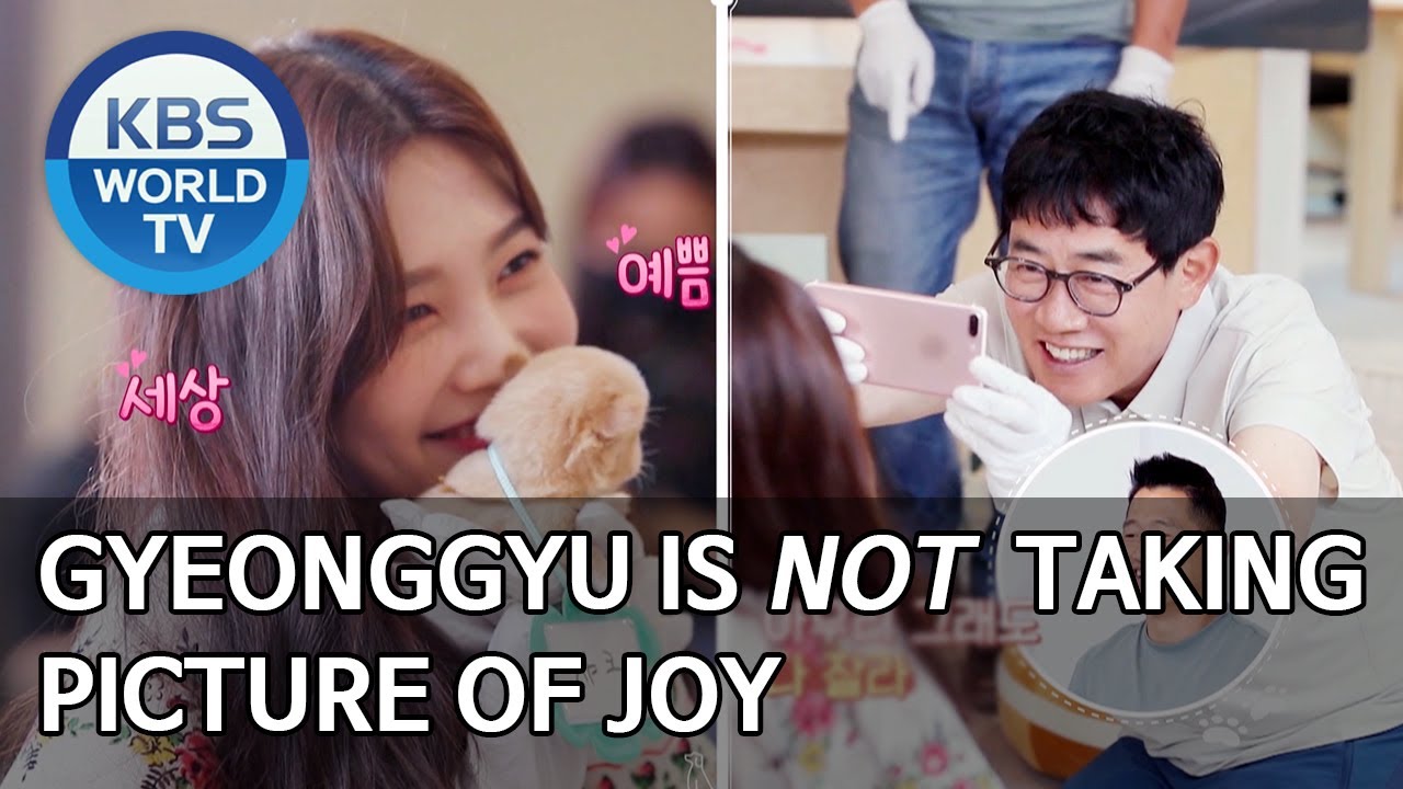 Gyeonggyu is NOT taking picture of Joy [Dogs are incredible/ENG/2020.07.29]