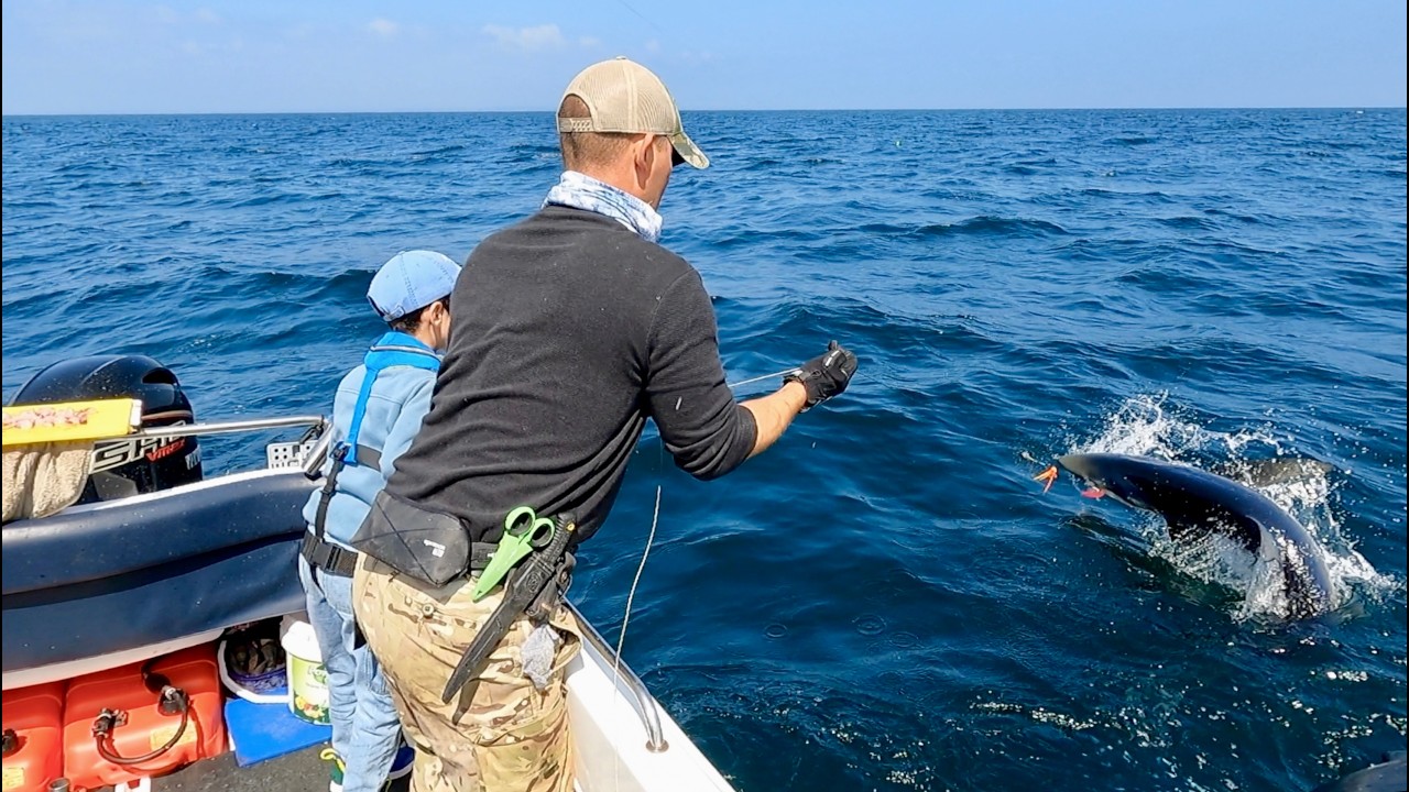 Shark Fishing UK - Father and Son go Deep Sea Fishing for Sharks - | The Fish Locker