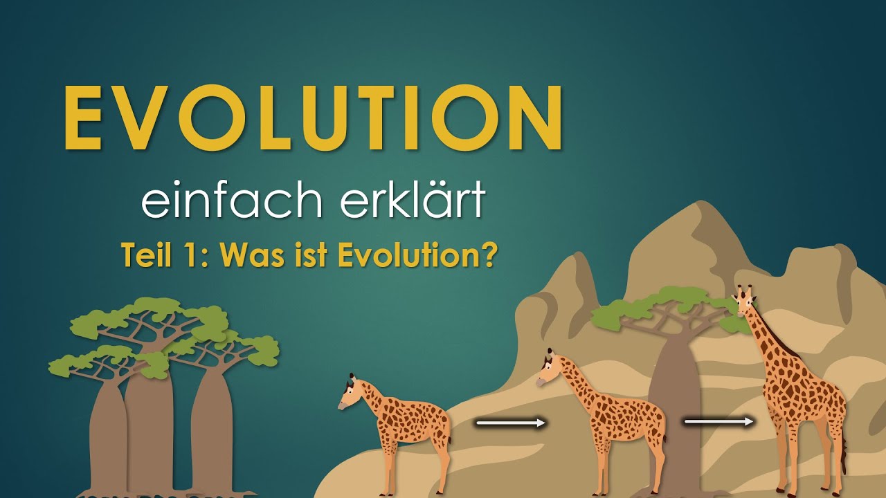 1. Was ist Evolution? | EVOLUTION einfach erklärt