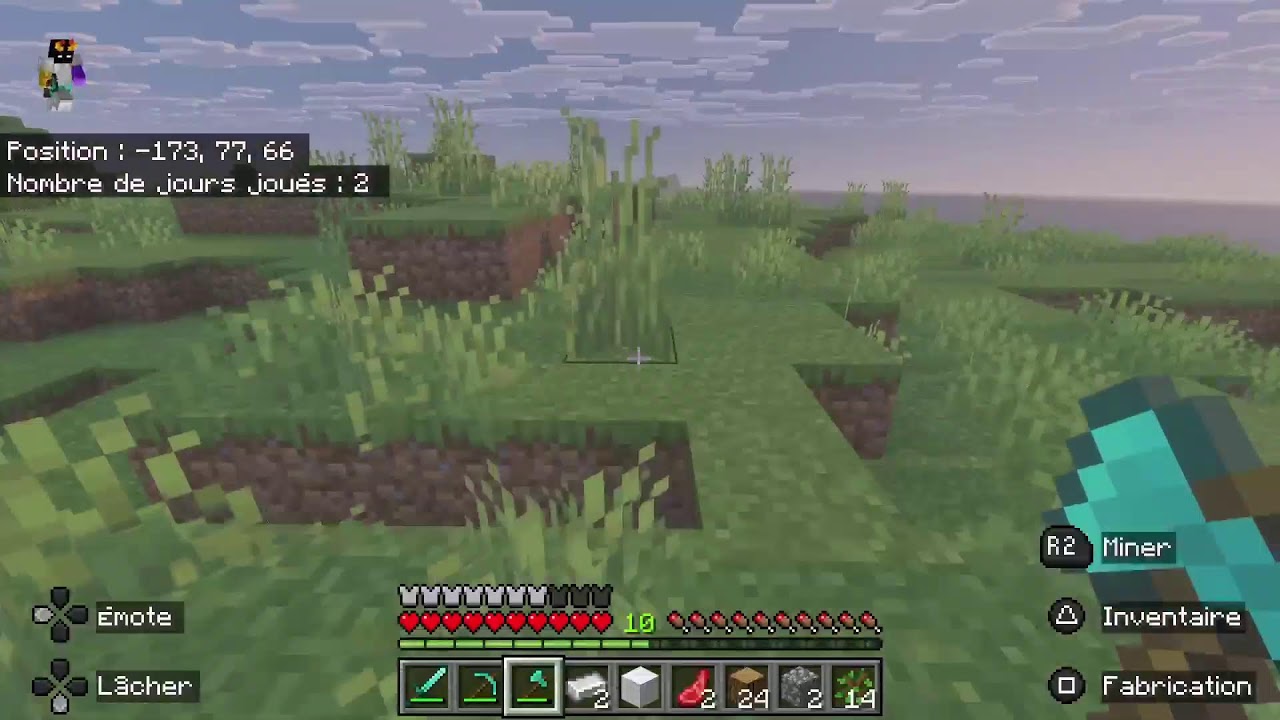 Minecraft survie chill