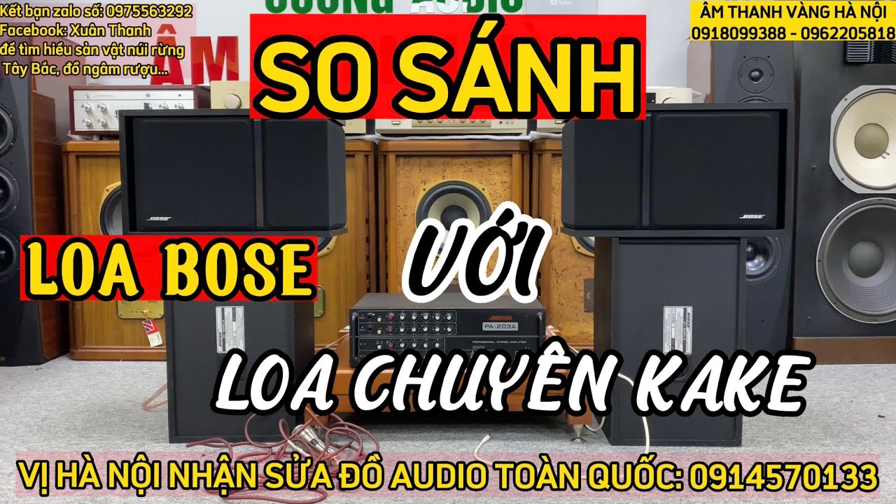 SO SÁNH LOA BOSE VÀ LOA KARAOKE CHUYÊN DỤNG, AI KHÔNG NÊN MUA ?