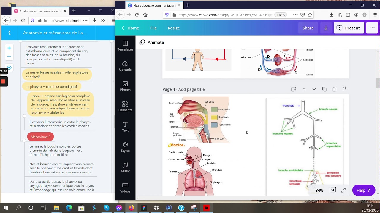 ANATOMIE et MÉCANISME DE L'APPAREIL RESPIRATOIRE