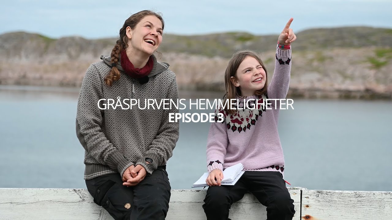 Gråspurvens hemmeligheter | Episode 3