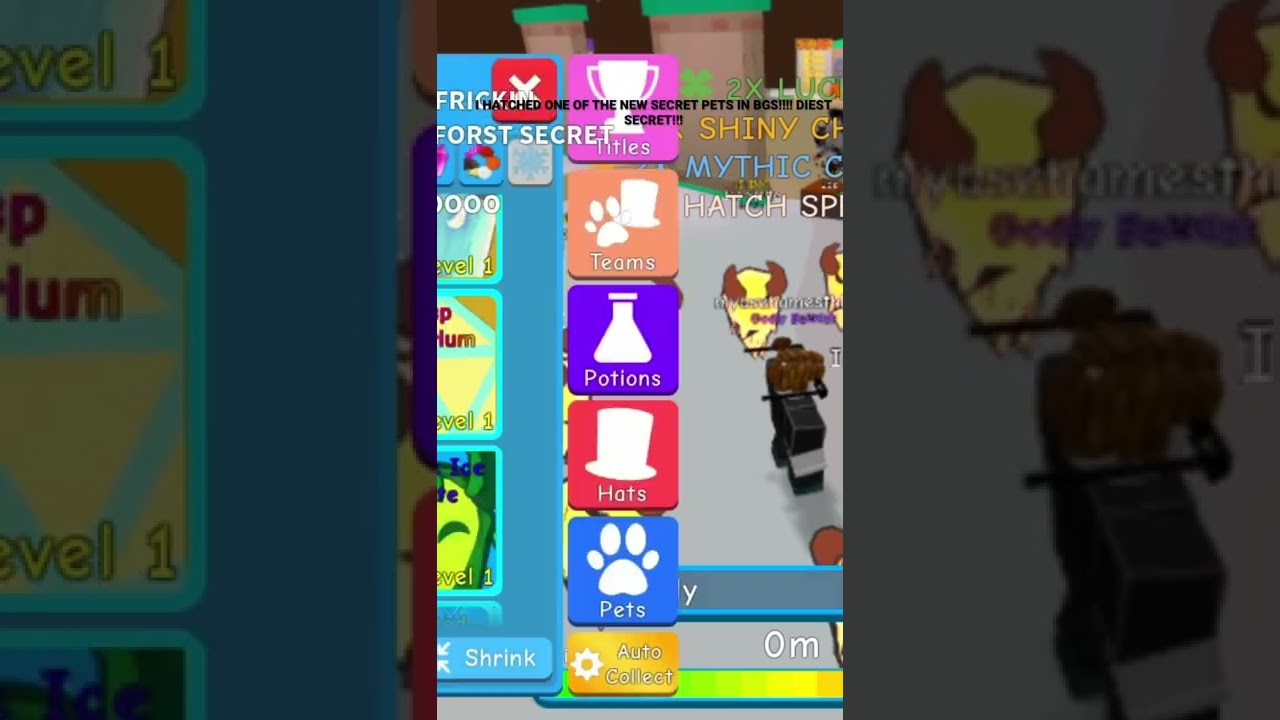 HATCHING A MY FIRAT SECRET IN BGS ROBLOX!!!!!!!!!!!    #roblox #bgs #secretpet #bubblegumsimulator