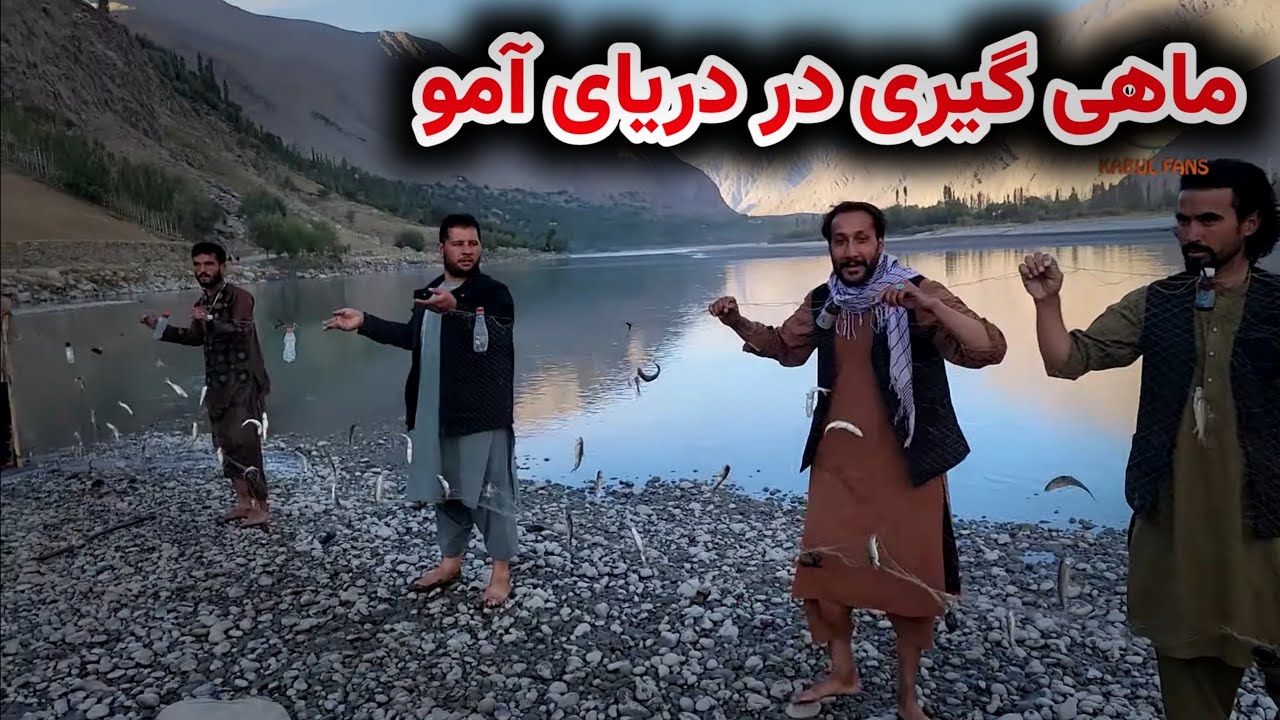 ماهی گیری - در هر جال حدود 50 تا ماهی گرفتیم