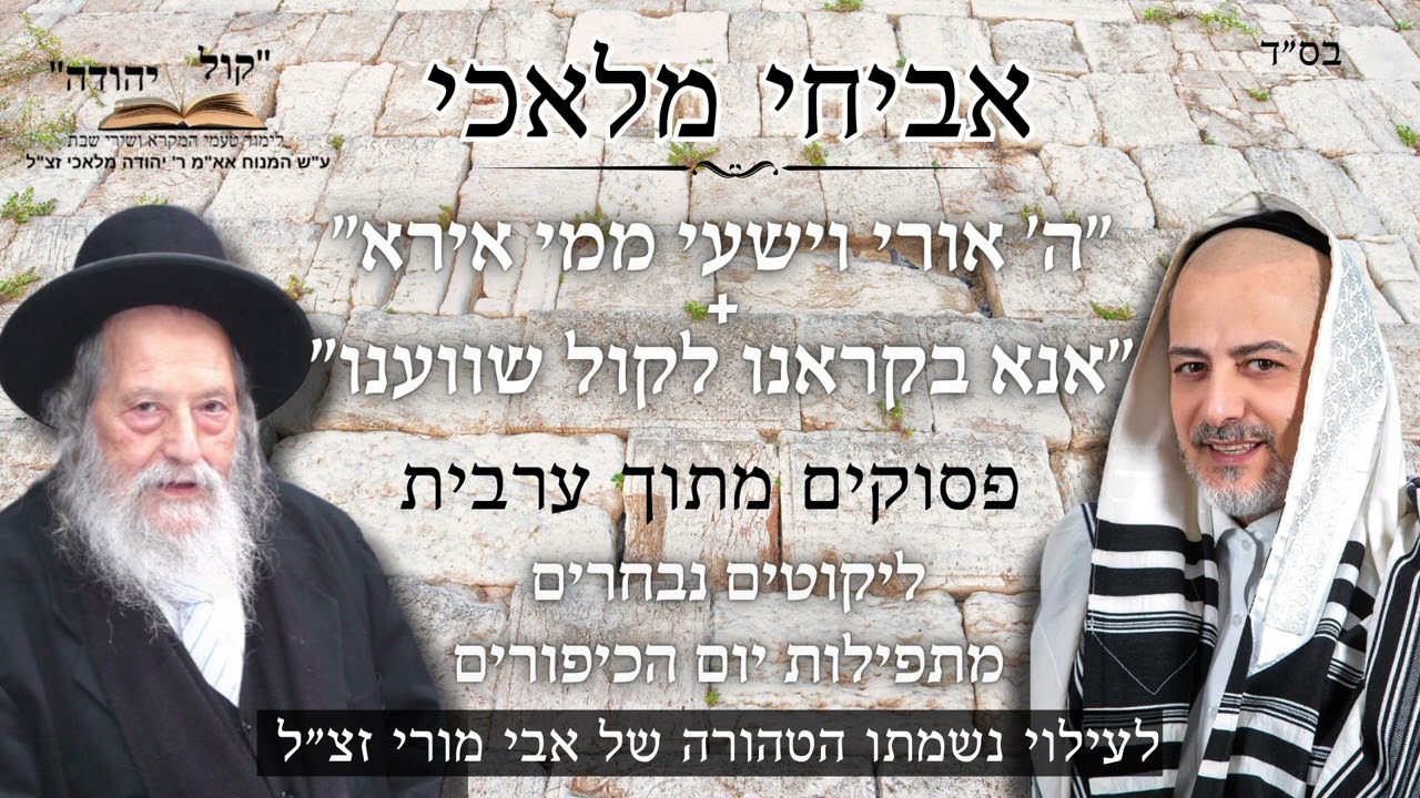 אביחי מלאכי 