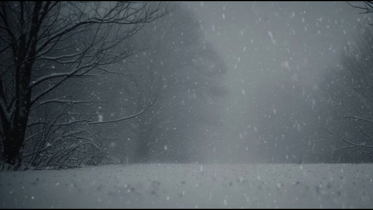 Deep Sleep Violin Music &bull; White Horizon &bull; 40 Mins of Calm by Damla &bull; Black Screen