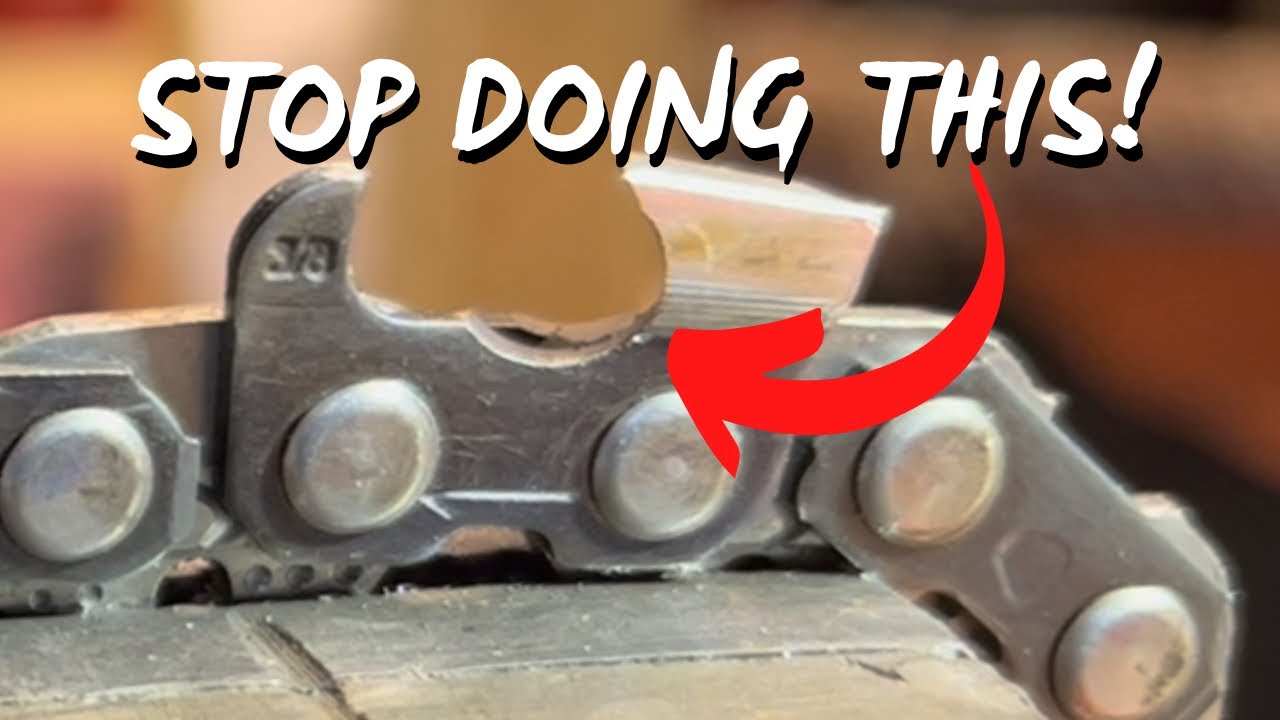 Before you Get The Gullet, STOP! (WATCH THIS FIRST)