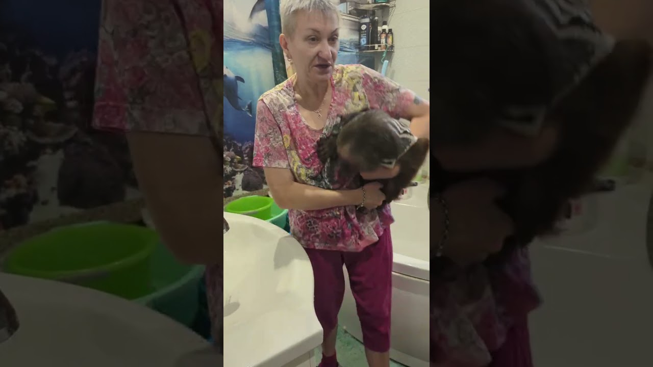 Фрагменты жизни.