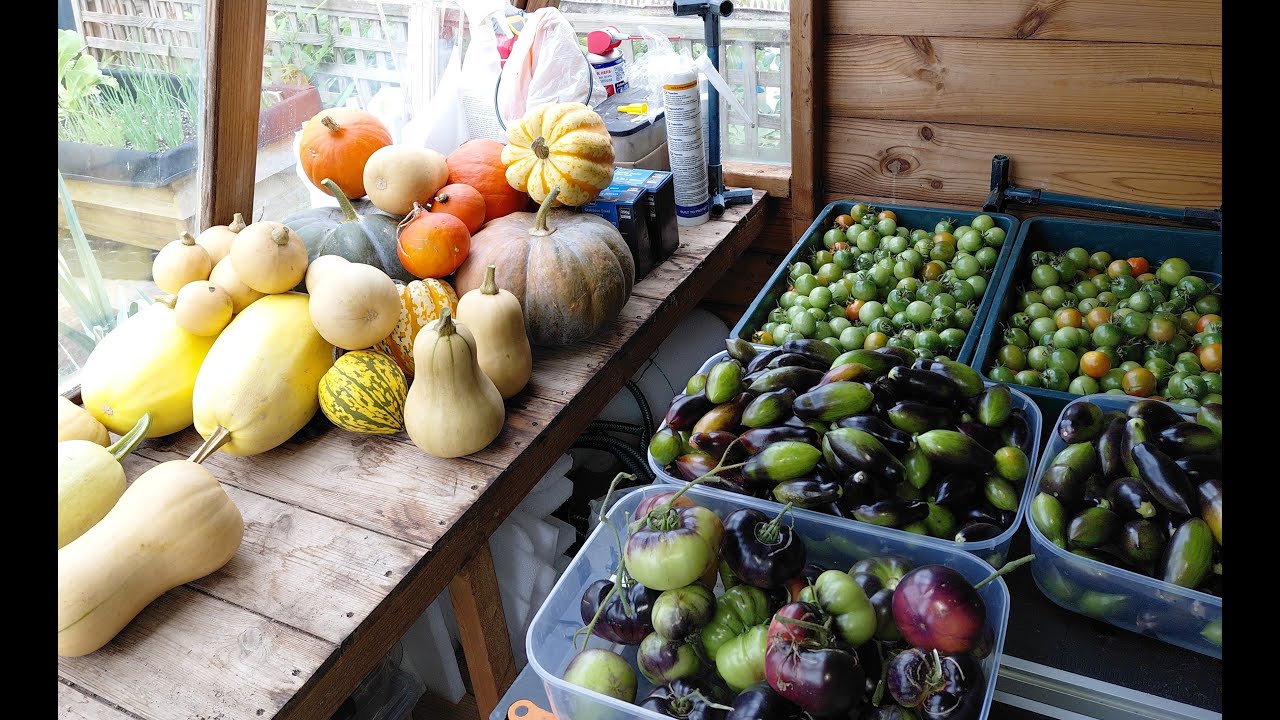 Squash & Potatoes