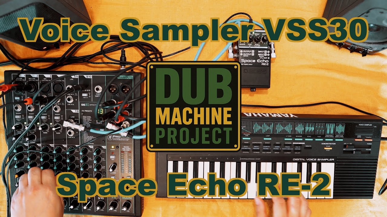 DUB Session with Yamaha VSS-30 & Space Echo RE-2