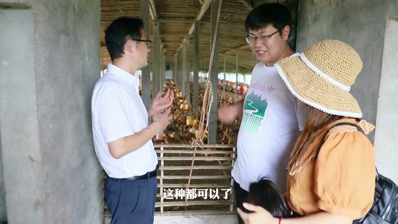 梅子强子想创业养鸡，大叔花100多万盖的鸡场租金要6万，能租吗？