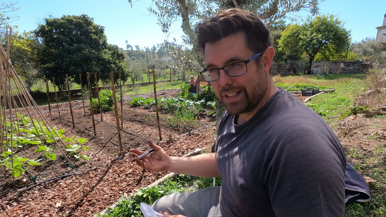 Winter Sowing and Planting in our No Dig Garden - Gardening in Portugal