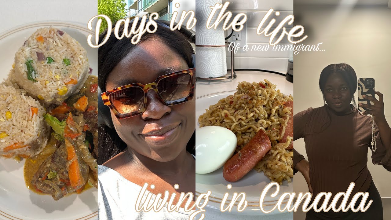 Naija girl can't handle heat in Canada? 😅 |More dollarama finds | Trying a new recipe