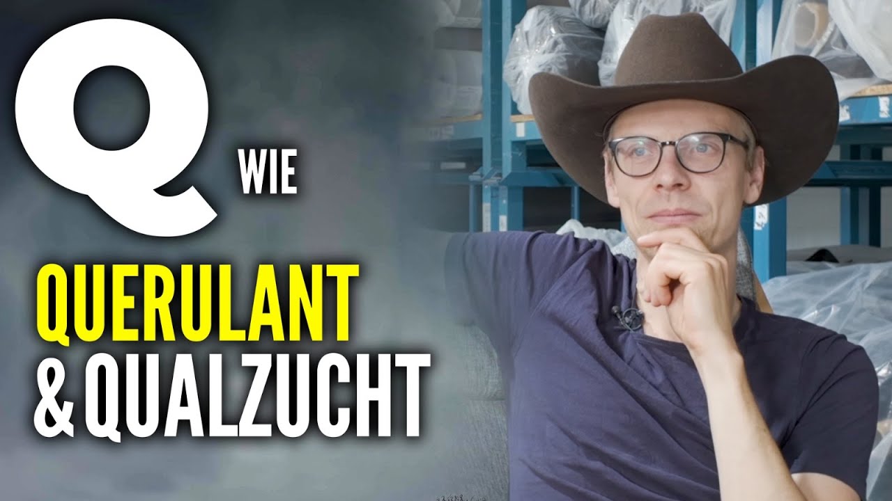 QUERULANT ODER VISION&Auml;R? Die harte Wahrheit...