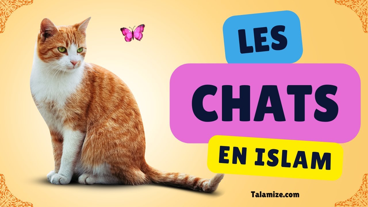 LES CHATS EN ISLAM
