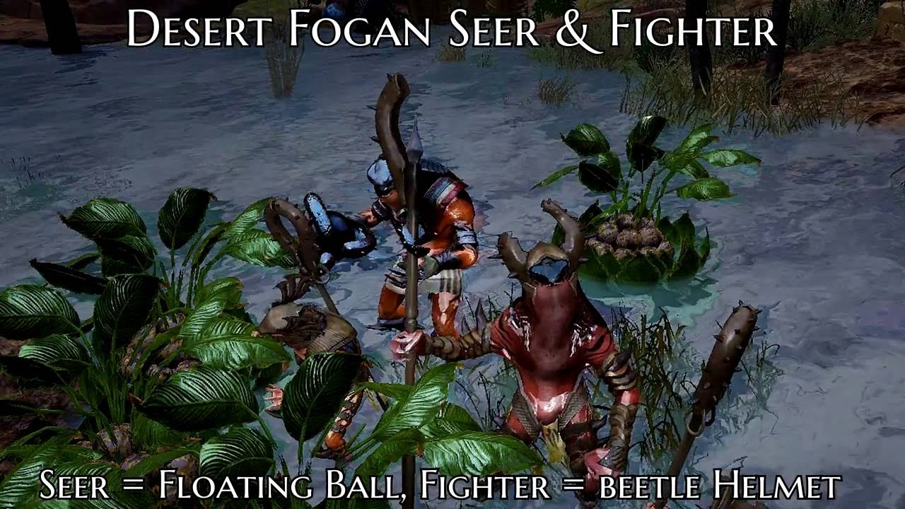 BDO Rotations: Desert Fogans/Titium Valley