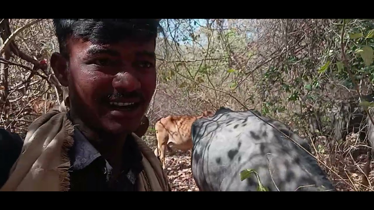 #minivlog #lifeisbutadream #16january #ihavethisthingwithplants #indiannationalday #ind🦁🥷🎤🦚