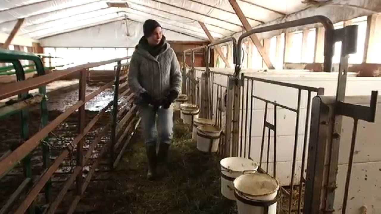 Buying a Farm Case Study - Misty Hills Farm LTD