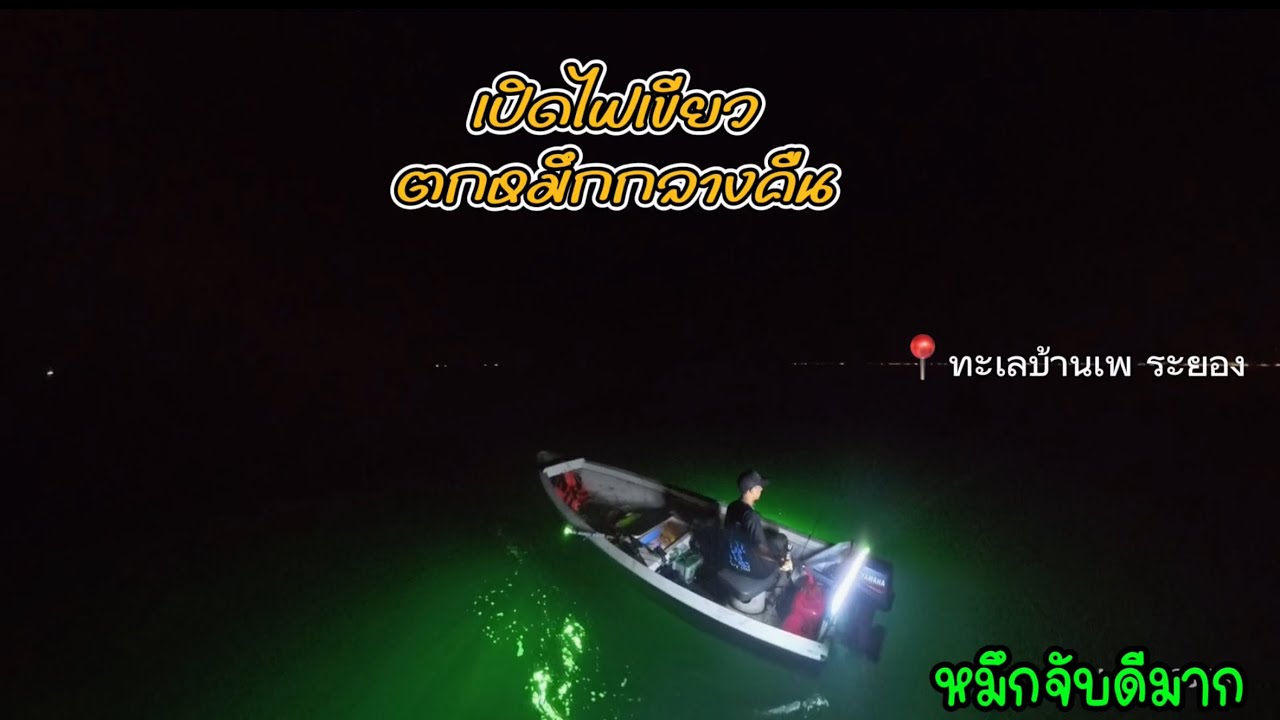 ตกหมึกกลางคืนบนเรือยังไงให้ได้ตัว โยจุ๊บแบบนี้หมึกจับดีมาก  23 กุมภาพันธ์ 2568