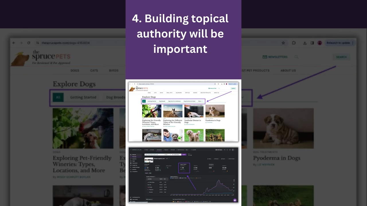 Biggest SEO Trends 2024 | SEO Trends  | SEO Shorts | Spread the Hope #seoshorts