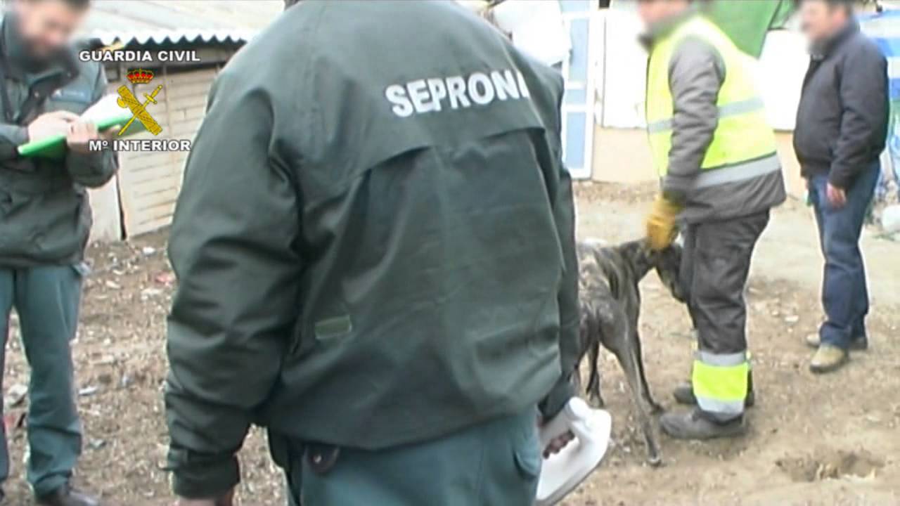 Operación Duplicado. Operaciones de la Guardia Civil. UCOMA, SEPRONA.