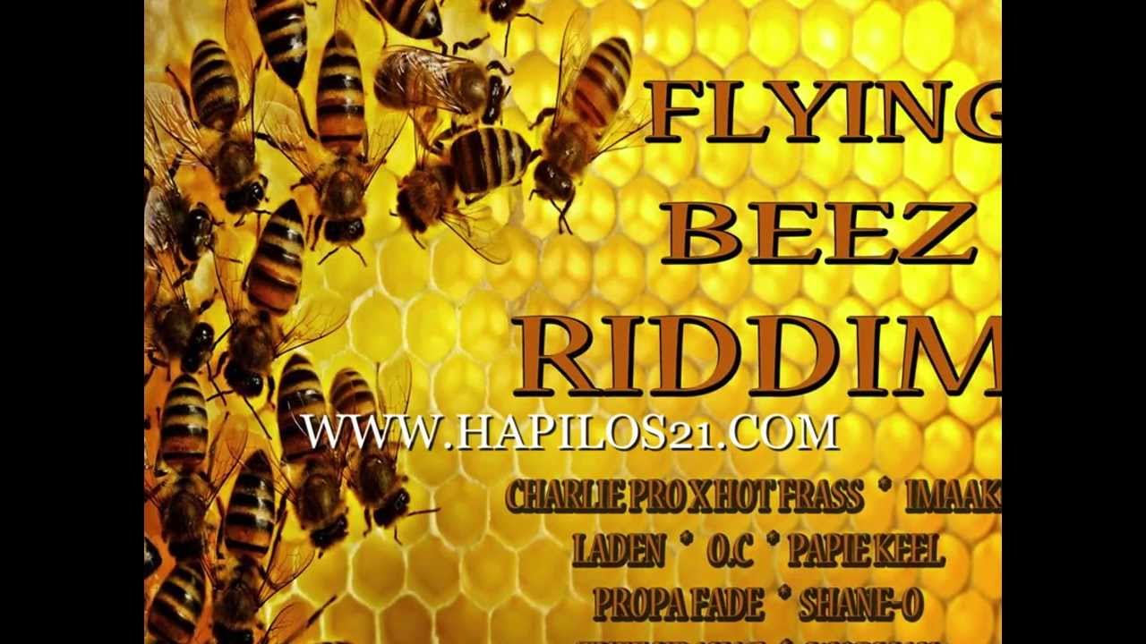 PROPA FADE - WHERE I'M FROM - FLYING BEEZ RIDDIM - EMUDIO RECORDS - 21ST - HAPILOS DIGITAL