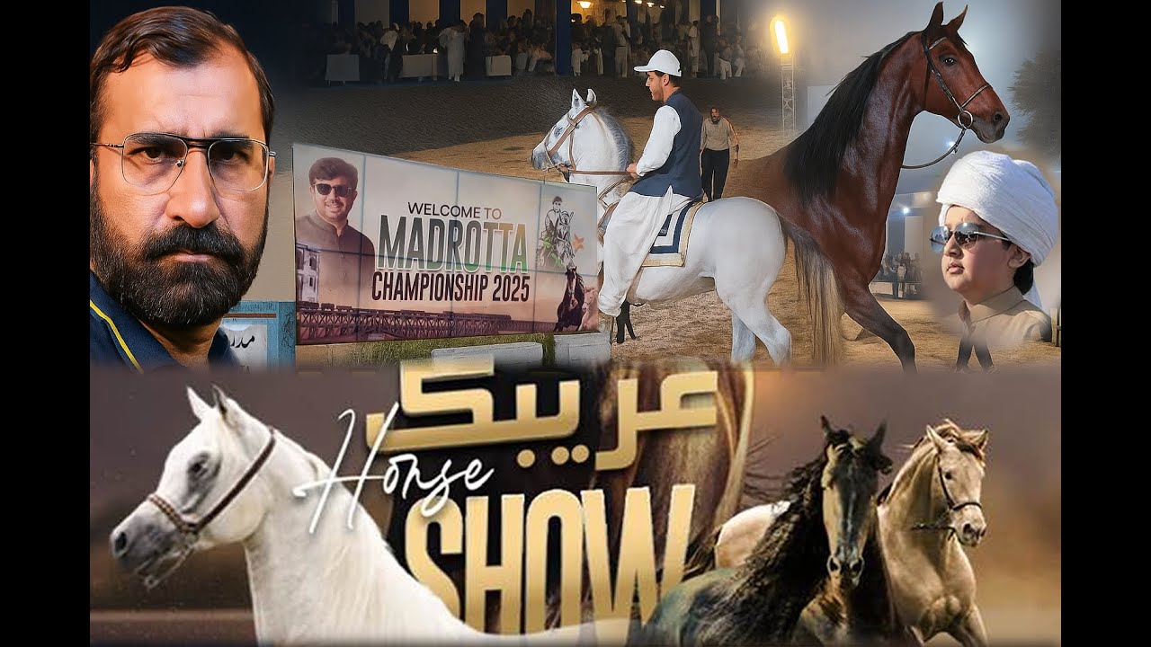 Madrotta Horse Show 2025 | مدروٹہ اٹک کا شانداررعریبک ہارس شو!