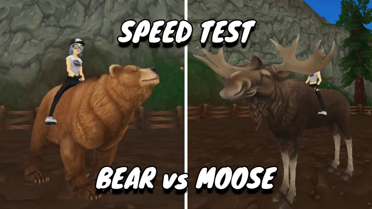 Speed Test, Bear vs Moose