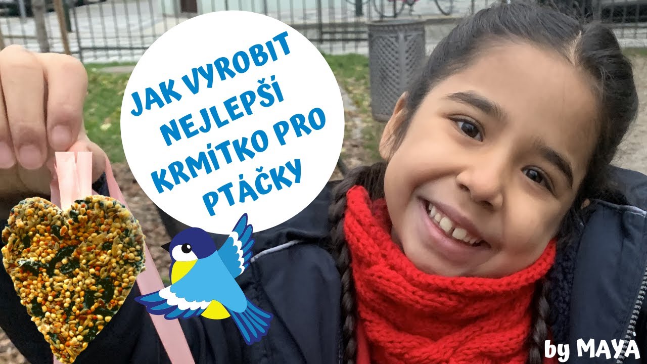 Jak vyrobit KRM&Iacute;TKO pro pt&aacute;čky | by MAYA