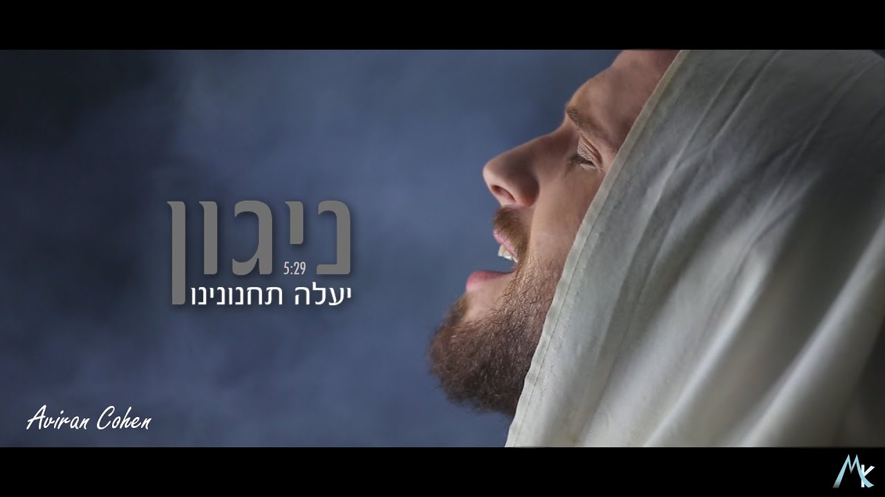 אבירן כהן 