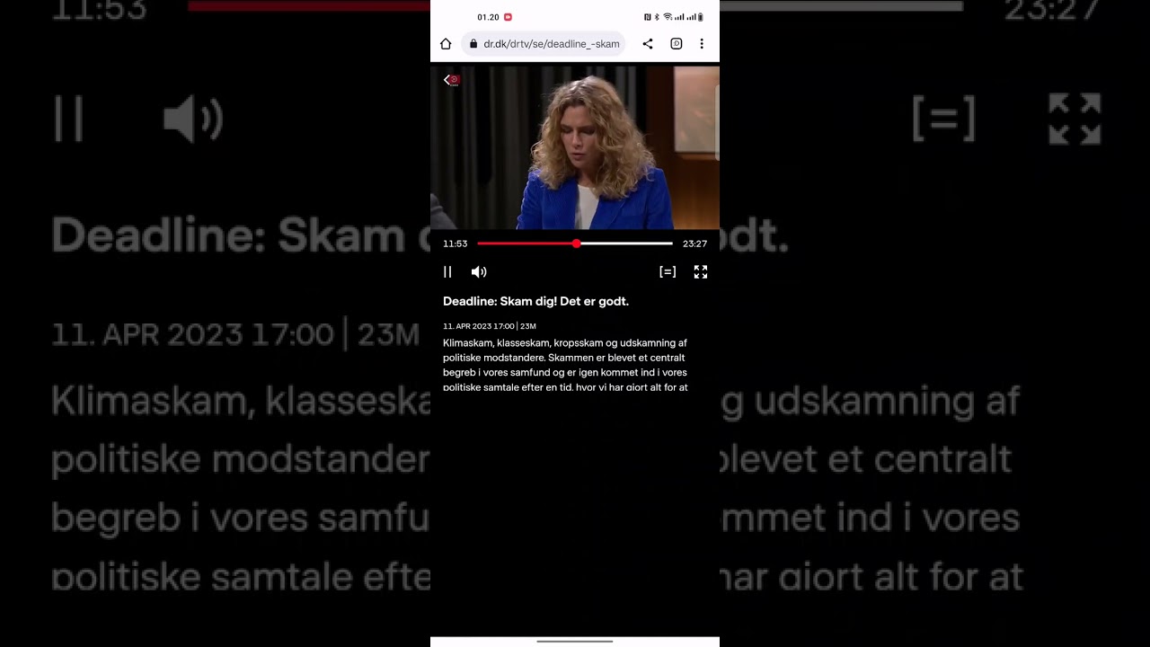 Debat om skam