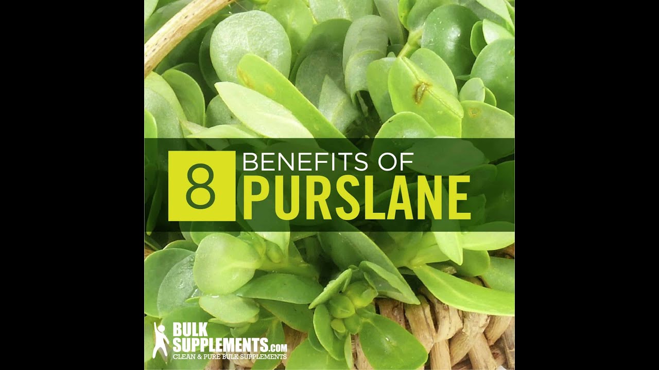 What is Purslane - purslane benefits - purslane side effects - how to eat purslane