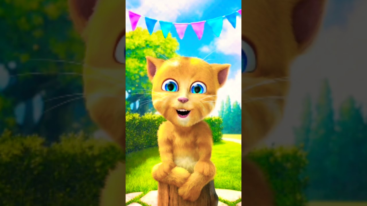 Happy Birthday Song Sing by Ginger Cat || Talking ginger HAPPY BIRTHDAY SONG