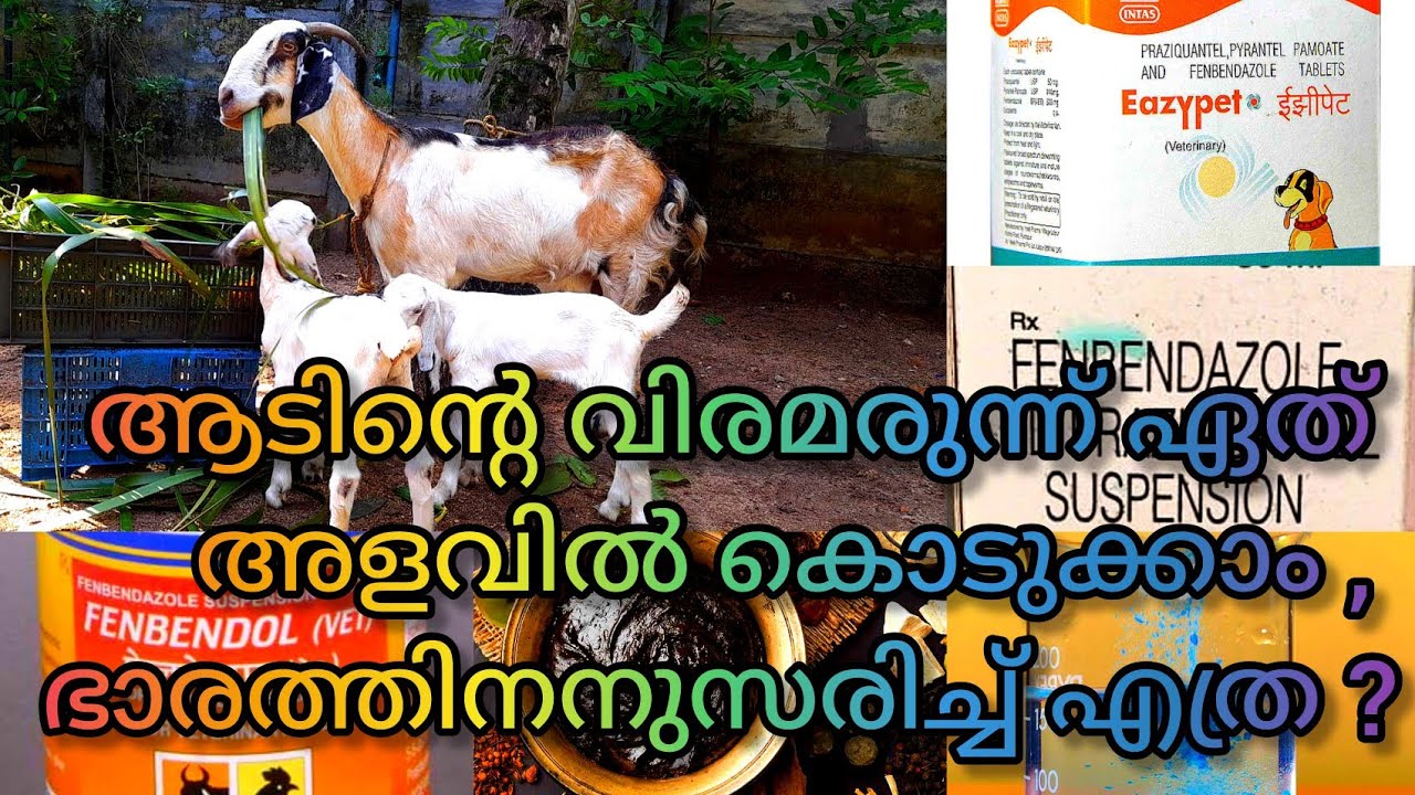 ആടിന്റെ വിരമരുന്നിന്റെ അളവ് എങ്ങനെ, ചെനയാടിനു ഏത് വിരമരുന്ന് കൊടുക്കാം