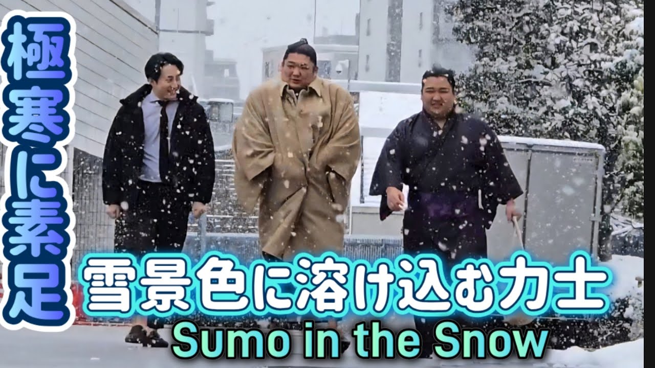 雪に溶け込む力士☃️雪合戦でも素足!Serious Sumo. Snowball Mode.