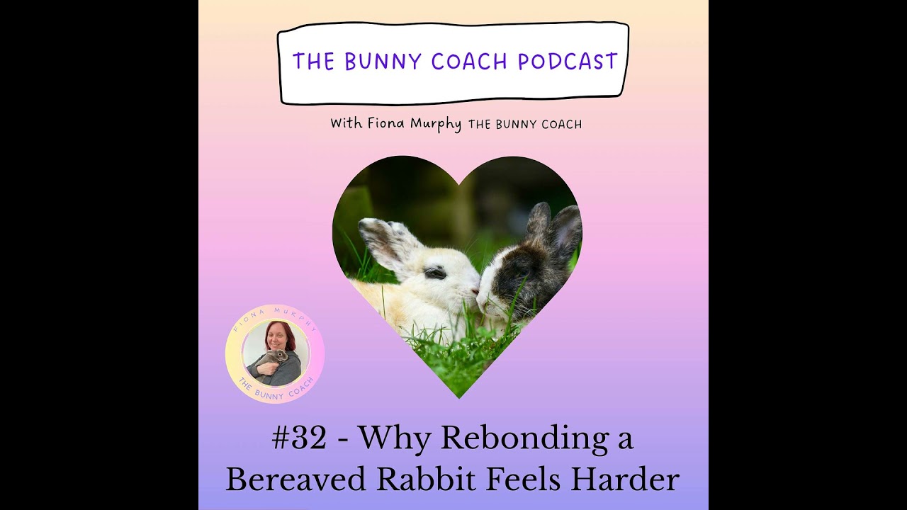 #32 - Why Rebonding a Bereaved Rabbit Feels Harder